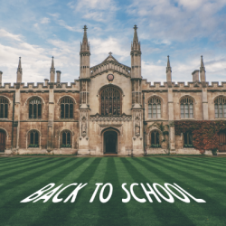 Issue 3: Back to School