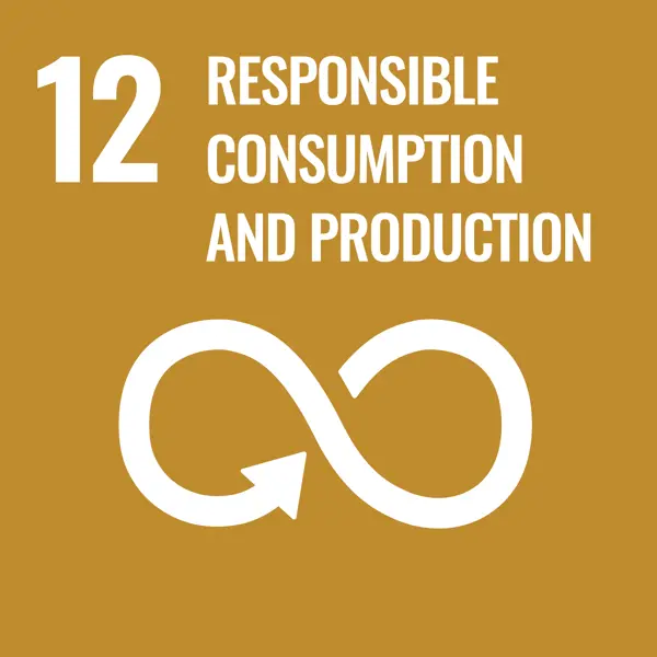 SDG Responsible Consumption and Production