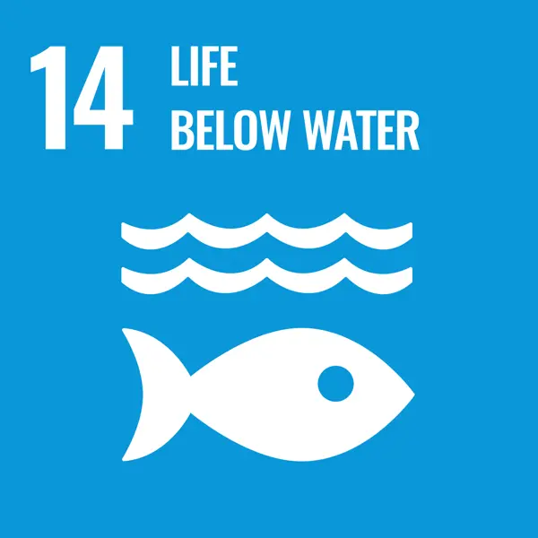 SDG Life Below Water